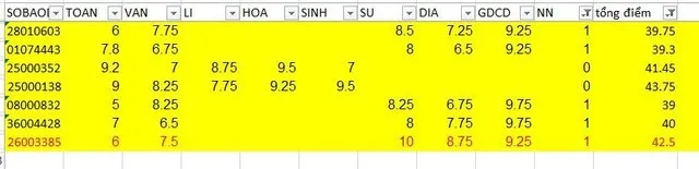 Nam Định: Trường chuyên Lê Hồng Phong lý giải việc 4 thí sinh bị điểm 0 môn ngoại ngữ 1