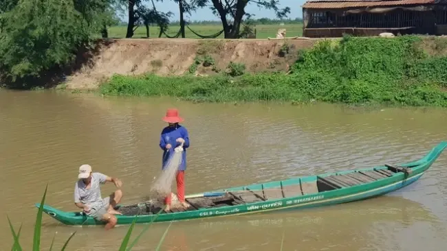 Điểm tin sáng 24/7: Miền Tây nguy cơ mất mùa nước nổi | Bị ong đốt nguy kịch 2