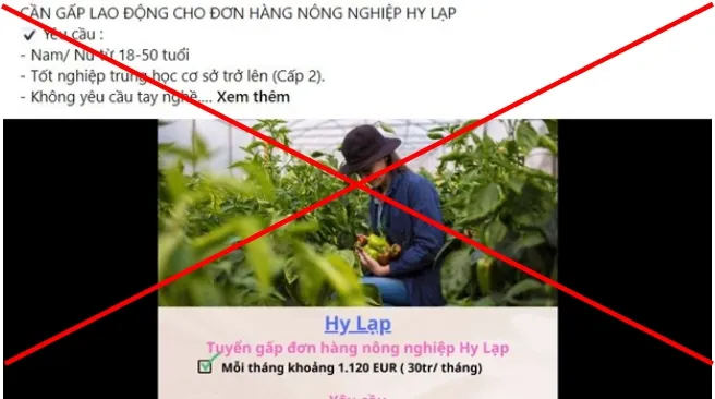 Cảnh báo chiêu thức lừa đảo tuyển dụng sang làm việc tại Hy Lạp 1