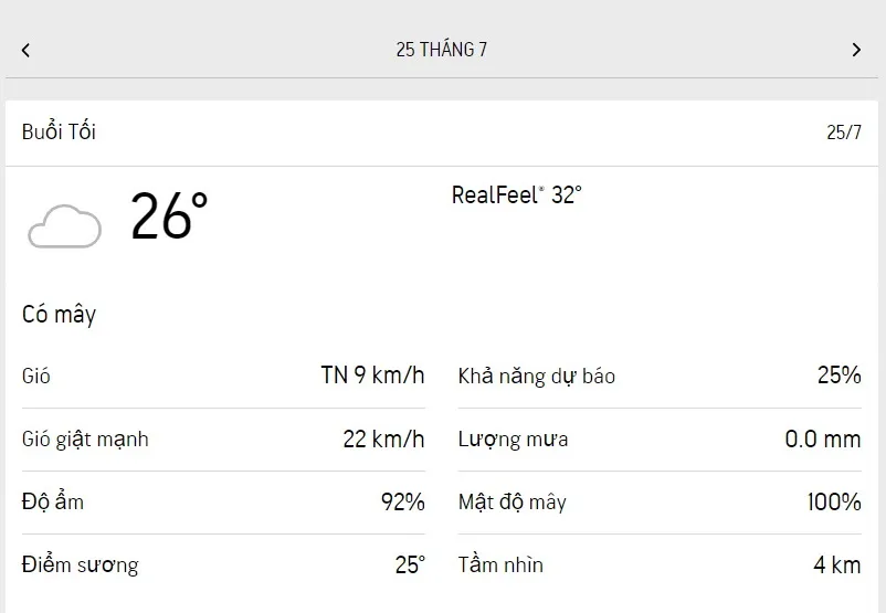 Dự báo thời tiết TPHCM hôm nay 25/7 và ngày mai 26/7/2023: Mưa rào rải rác 3