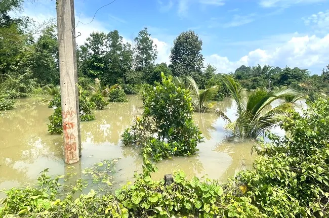 Đồng Nai: Lũ làm thiệt hại 1.800 tấn cá 1