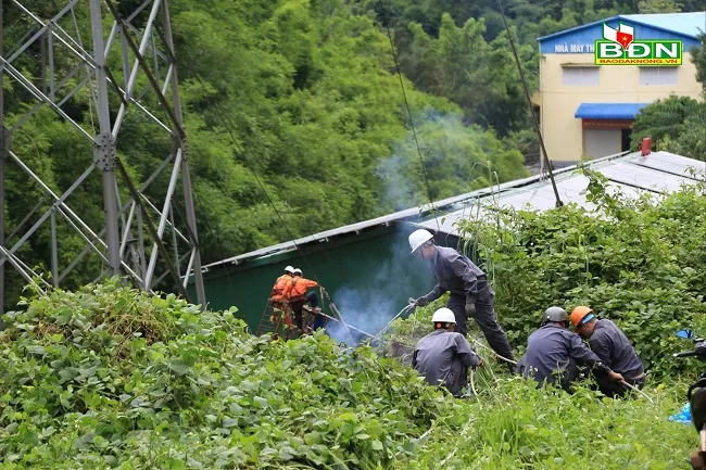 Thủy điện Đắk Nông 2 ngưng hoạt động vì mưa lũ làm hư hỏng trạm biến áp 1