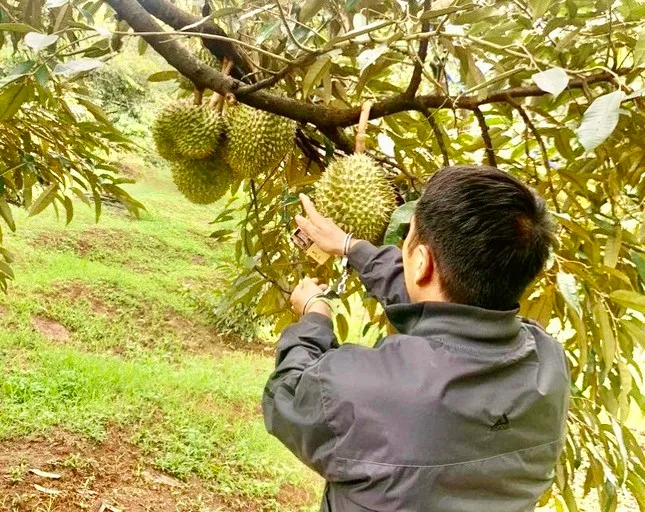 Điểm tin chiều 2/8: Học sinh tựu trường trước khai giảng sớm nhất 1 tuần | TPHCM quyết bài trừ tín dụng đen 4