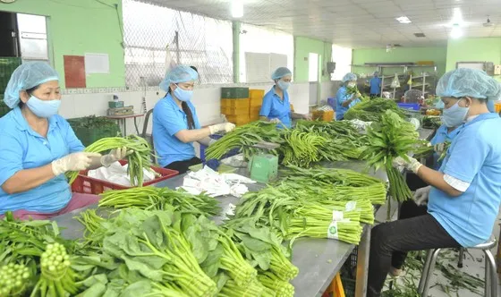 Kim ngạch xuất khẩu nông nghiệp tăng 5,3% 1