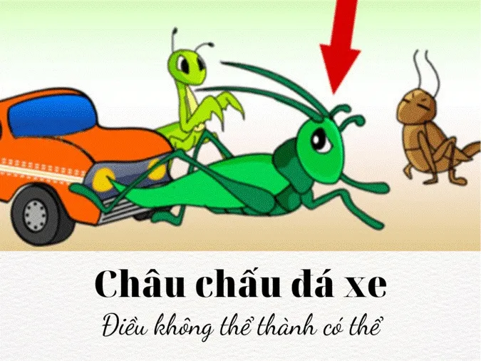 Ý nghĩa câu ca dao “Nực cười châu chấu đá xe, tưởng rằng chấu ngã ai dè xe nghiêng” 1