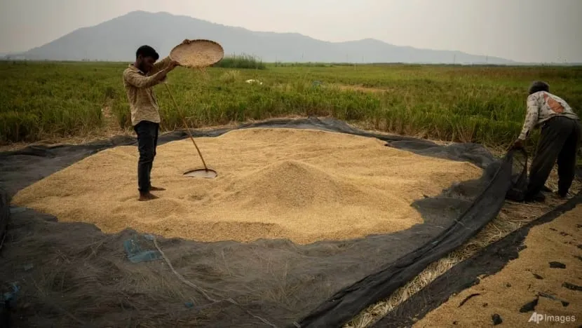 gạo ấn độ