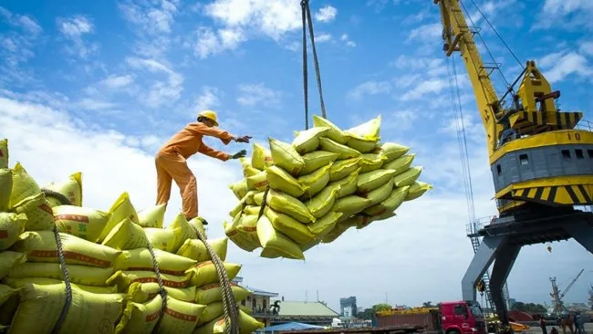 Điểm tin trưa 4/8: Đề nghị DN không mua gom lúa gạo | Bắt kẻ chống phá Nhà nước 2