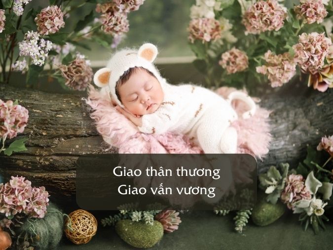 ten-giao-voh-5
