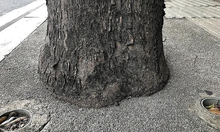 bê tông thấm nước 