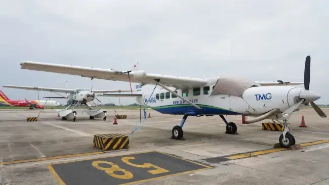 Điểm tin chiều 12/8: 8 trường hợp bị thu hồi cà vẹt xe | Nhiều trẻ bị rắn độc cắn 4