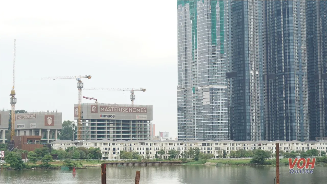 Điểm tin chiều 12/8: 8 trường hợp bị thu hồi cà vẹt xe | Nhiều trẻ bị rắn độc cắn