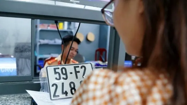 Điểm tin chiều 12/8: 8 trường hợp bị thu hồi cà vẹt xe | Nhiều trẻ bị rắn độc cắn 2