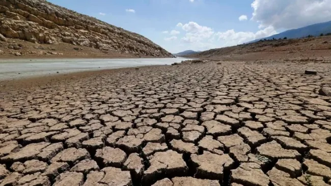 Lòng hồ cạn khô tại Tây Bekaa, Lebanon - Ảnh: REUTERS