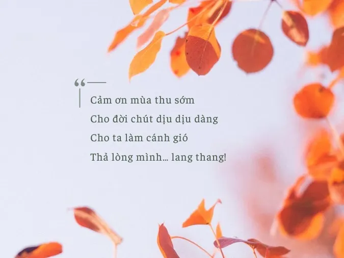 Tuyển tập những bài thơ giao mùa hay nhất, ý nghĩa nhất 7