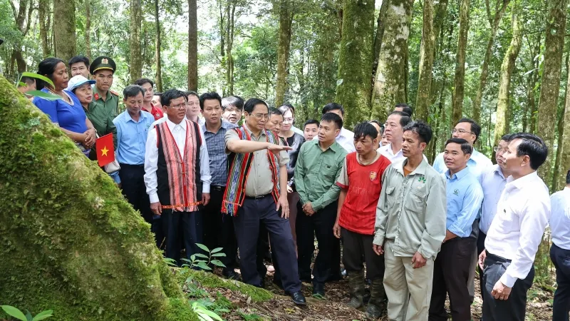 Thủ tướng: Đẩy mạnh liên kết trong sản xuất, chế biến sâm Ngọc Linh 1