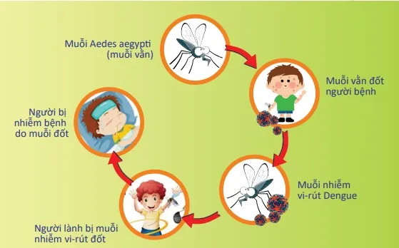 Điểm tin trưa 20/8: Ngưng hoạt động các cơ sở xử lý rác gây ô nhiễm | TPHCM số ca sốt xuất huyết tăng 19% 2