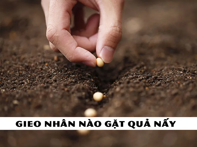 Giải thích ý nghĩa thành ngữ 