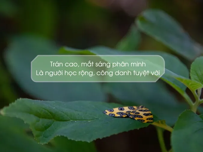 “Tâm sinh tướng” là gì? “Tâm sinh tướng” liệu có đúng? 9