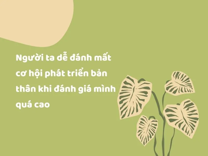 Giải thích ý nghĩa thành ngữ “Mèo khen mèo dài đuôi” là gì? 3