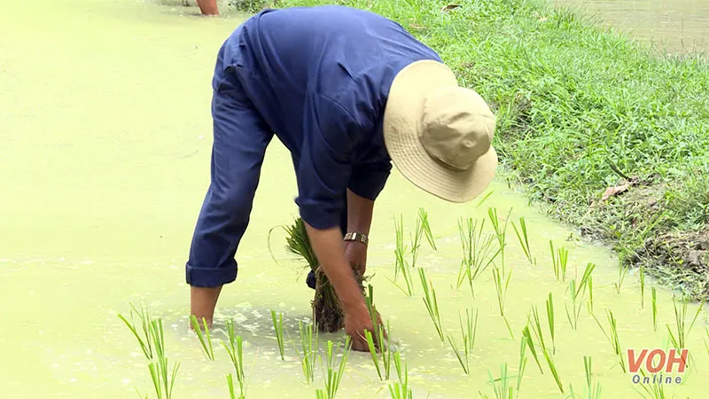 Tiềm năng lớn trong phát triển du lịch chữa lành 2