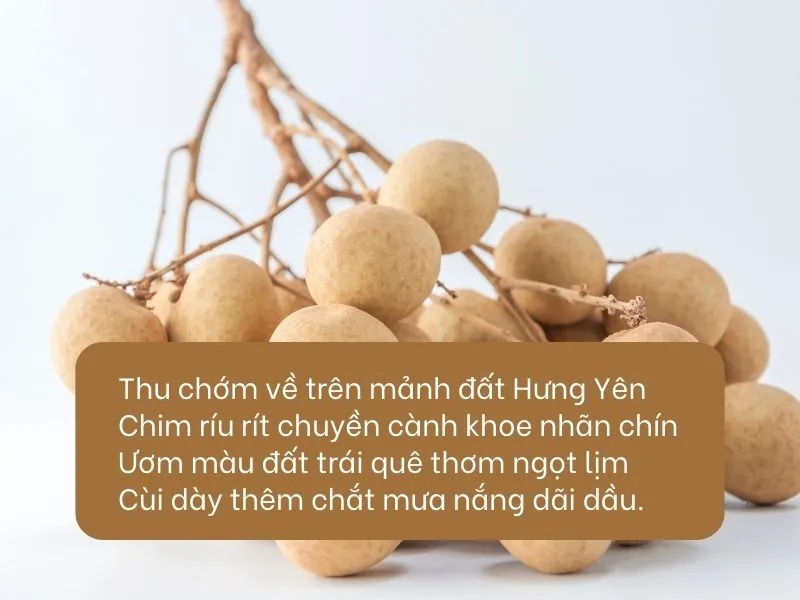 Ca dao, tục ngữ, thơ về Hưng Yên 4