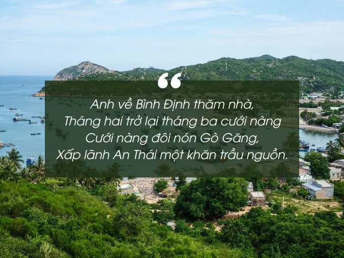 tho-ve-binh-dinh-voh-7