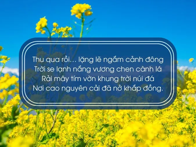 tho-ve-ha-giang-voh-11