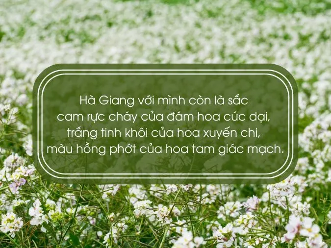 tho-ve-ha-giang-voh-4