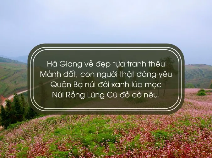 tho-ve-ha-giang-voh-6