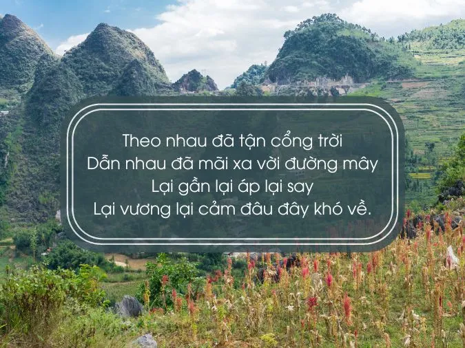 tho-ve-ha-giang-voh-8