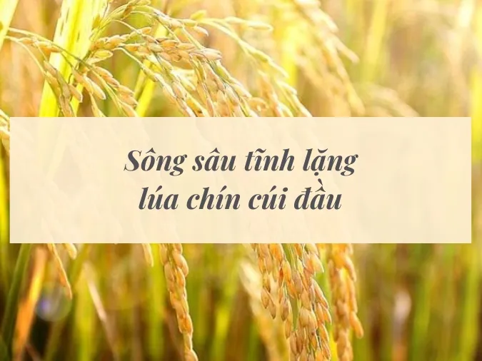 Giải thích ý nghĩa thành ngữ “Trứng khôn hơn vịt” là gì? 7