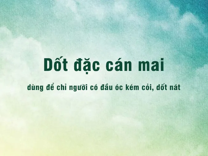 "Dốt đặc cán mai" là gì? Giải mã ý nghĩa ẩn dụ trong câu thành ngữ 1