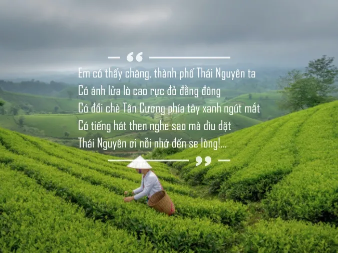 Thơ về Thái Nguyên hay, ca dao, tục ngữ Thái Nguyên 2