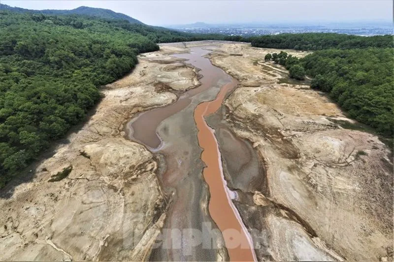 Điểm tin chiều 10/9: TPHCM xử phạt giao thông gần 1.000 tỉ đồng | Toàn quốc thực tập chữa cháy, cứu hộ 4