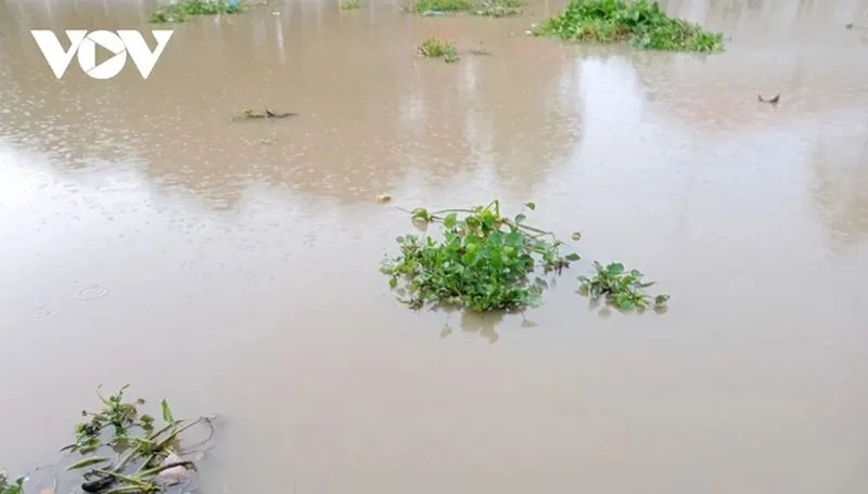 Điểm tin trưa 10/9: Không dùng tiền mặt tránh lạm thu ở trường học | Sắp có đường bay thẳng TPHCM - Perth 3