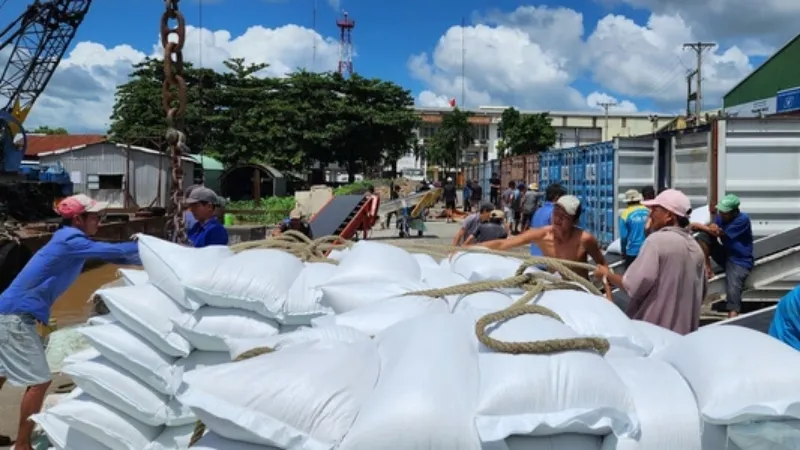 Điểm tin chiều 10/9: Không kiểm định cho xe chưa nộp phạt | Bé trai 6 tuổi bị xe rác tông tử vong 2