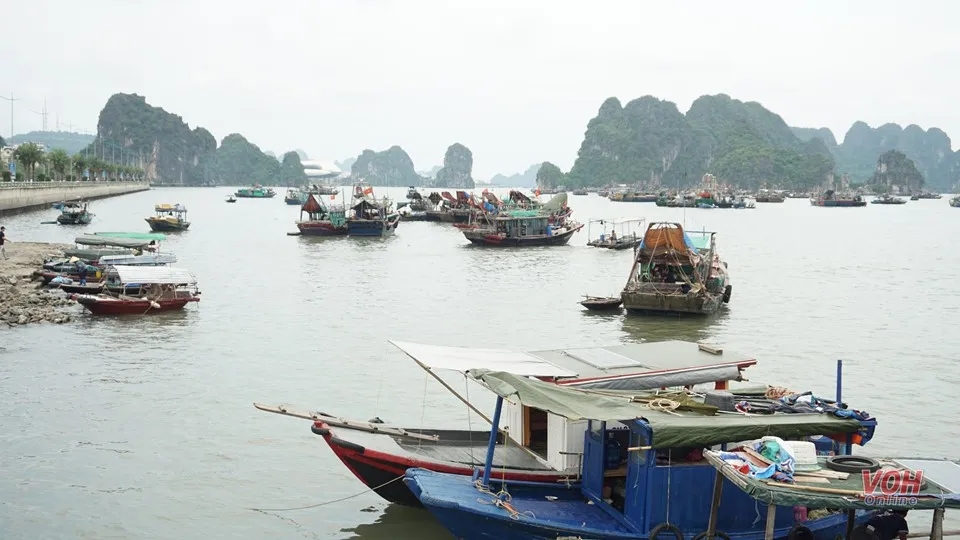 biển quảng ninh
