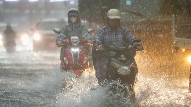 TPHCM: Nhà tốc mái, cây ngã đổ sau cơn giông lốc 3