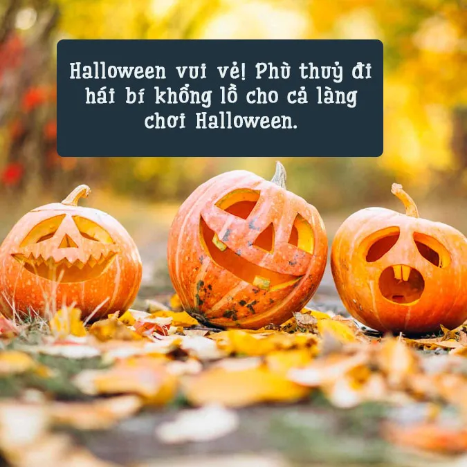 105 câu nói, status Halloween giúp ngày hội hóa trang thêm ấn tượng 4