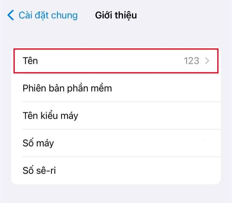 Cách Đổi Tên Airdrop Nhanh Nhất Trên iPhone, Macbook 5