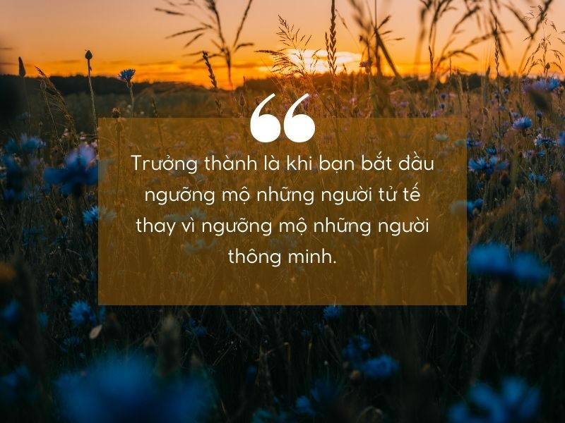 Những câu nói hay về nhân cách sống đáng suy ngẫm, đọc là “thấm” 9