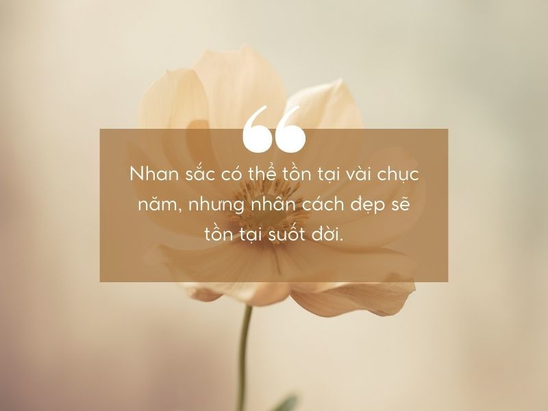 Những câu nói hay về nhân cách sống đáng suy ngẫm, đọc là “thấm” 1