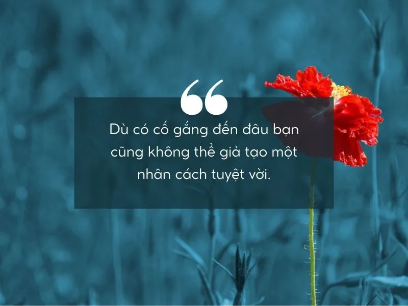 Những câu nói hay về nhân cách sống đáng suy ngẫm, đọc là “thấm” 3