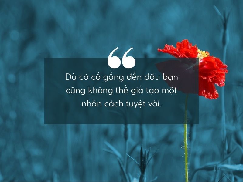 Những câu nói hay về nhân cách sống đáng suy ngẫm, đọc là “thấm” 3