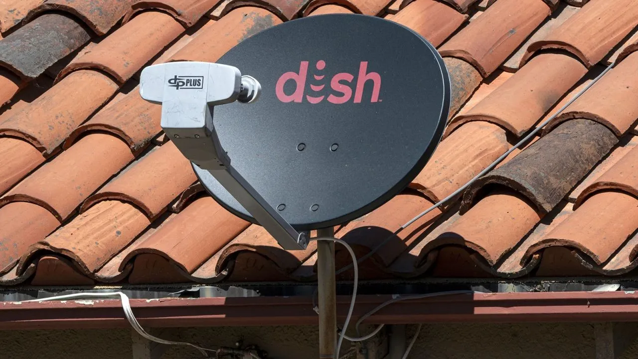 dish