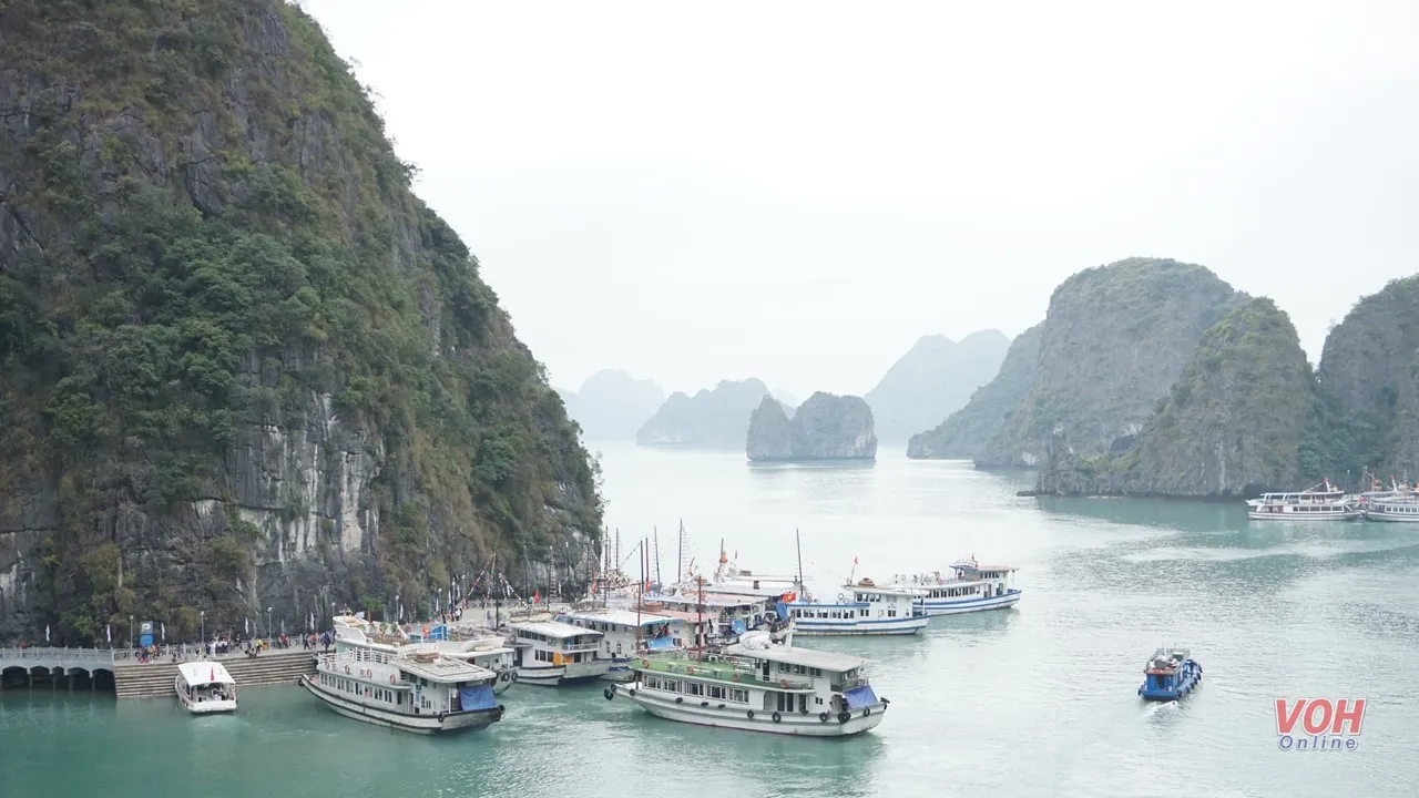 vịnh hạ long