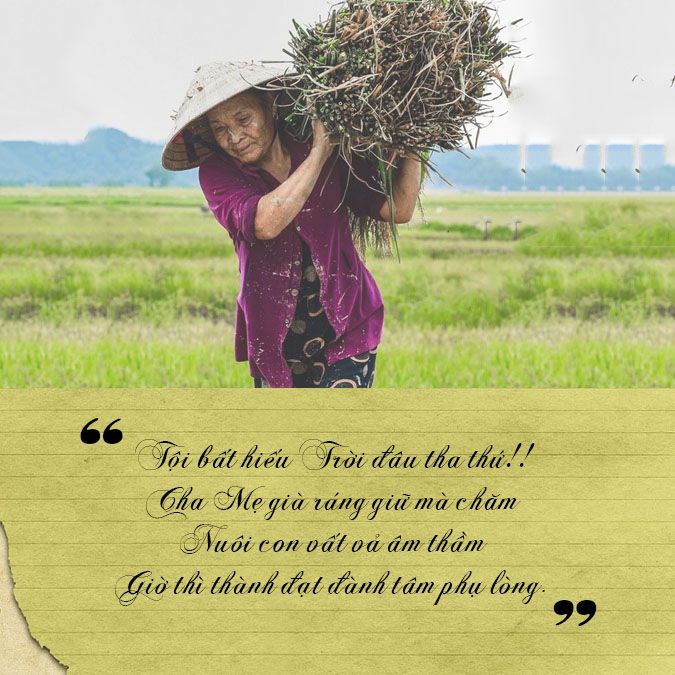 Những bài thơ về chữ hiếu, stt báo hiếu cha mẹ 5
