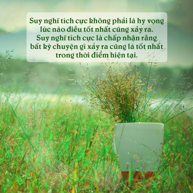 Những câu nói hay học cách chấp nhận để chạm đến hạnh phúc