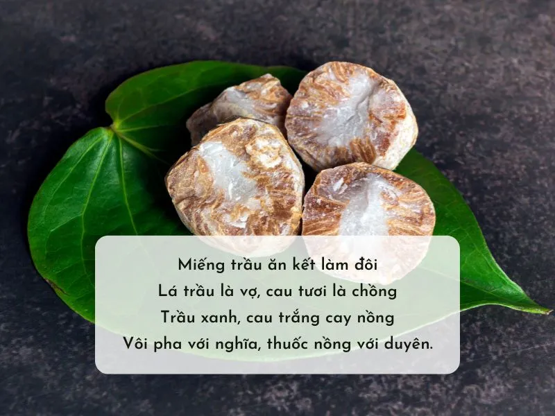 Ca dao, tục ngữ, thơ về trầu cau, cây cau đặc sắc nhất 7