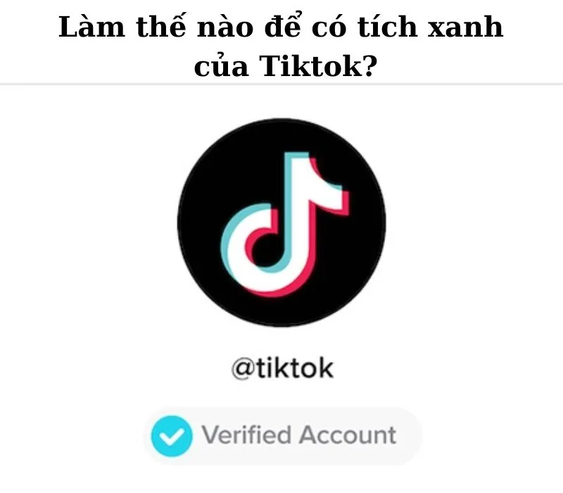 Tích xanh Tik Tok là gì? Cách lên tích xanh TikTok nhanh nhất 2